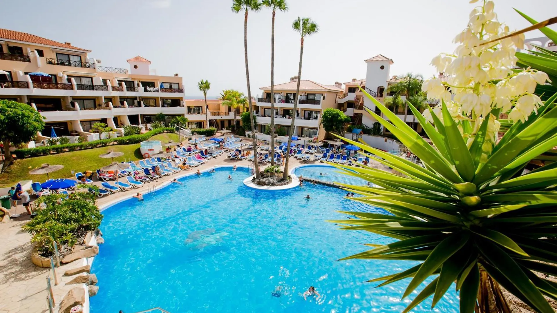 Apartment Sweet Home In Golf Del Sur, Ap236 With Heated Pool And Ocean View San Miguel de Abona
